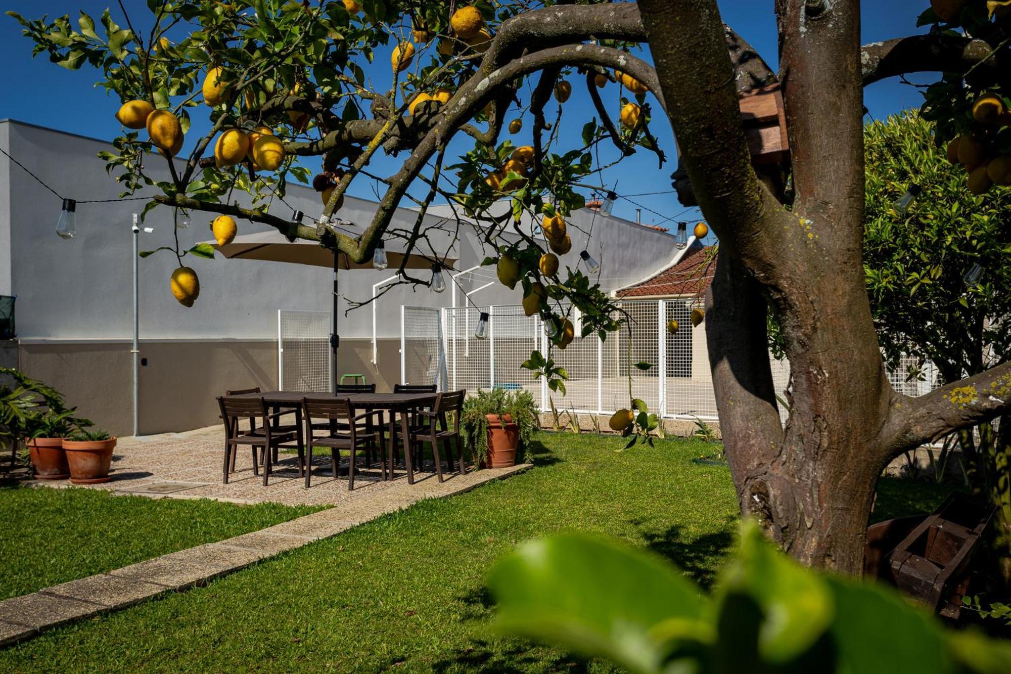 Villa 714 Mugnano House Aveleda Vila do Conde Exterior foto